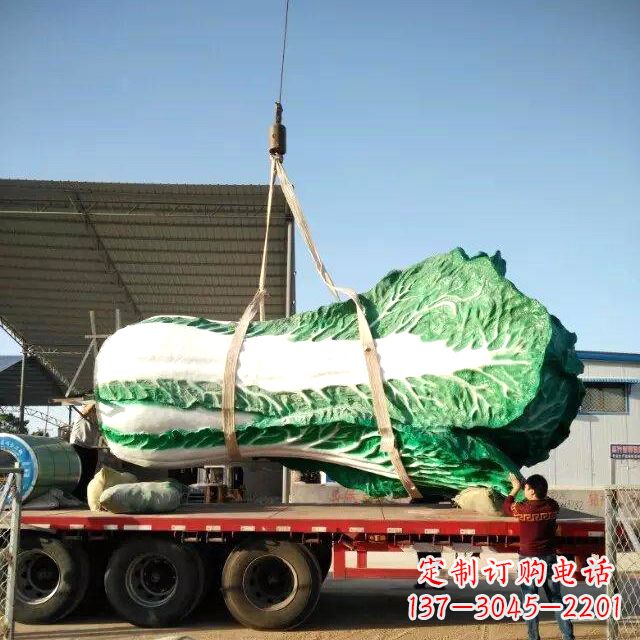 潍坊白菜之美——给你一份独特的食材