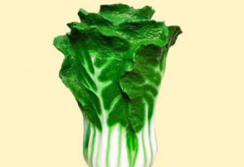 潍坊仿真果蔬白菜雕塑