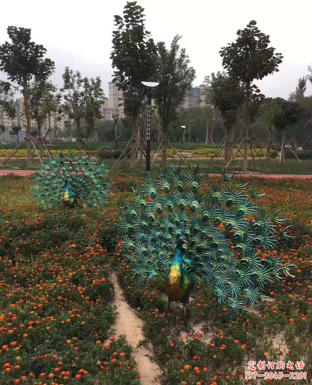 潍坊不锈钢彩绘孔雀雕塑