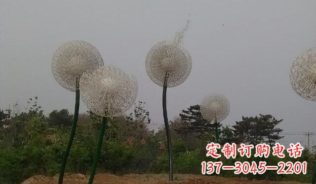 潍坊蒲公英的绚丽多彩