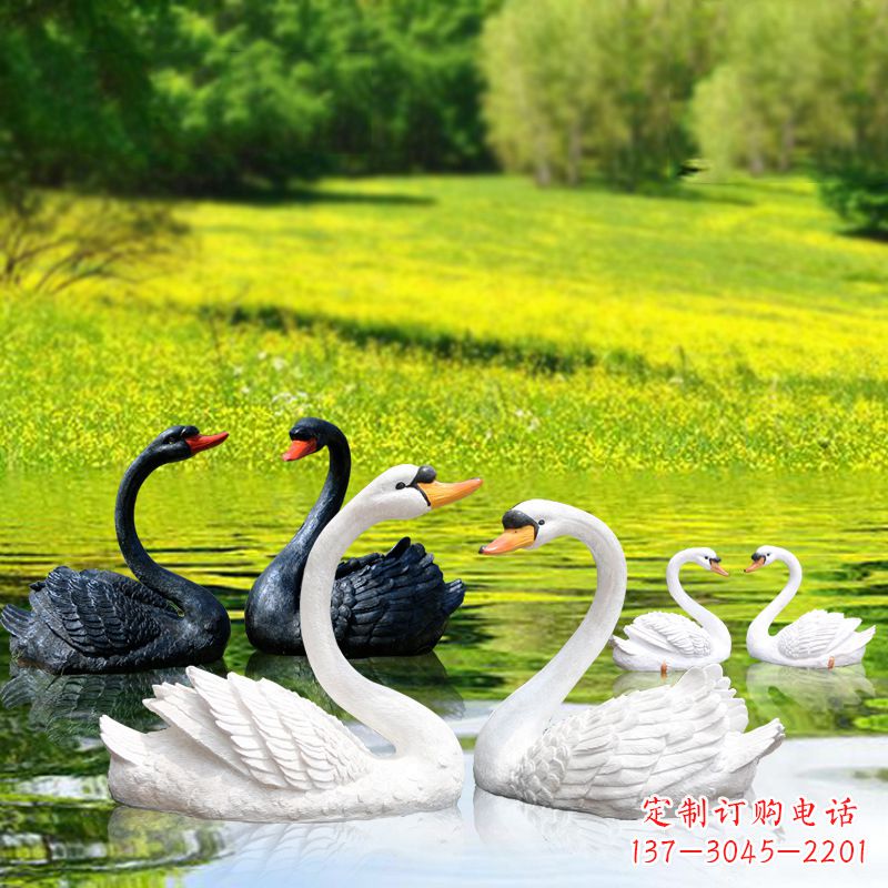 潍坊仿真天鹅玻璃钢雕塑-黑白天鹅园林水景装饰动物摆件