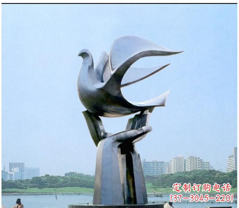 潍坊静谧之鸽,传递和平象征~