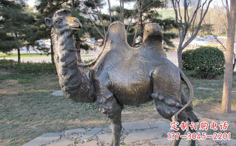 潍坊铜骆驼雕塑——浓缩自然美丽