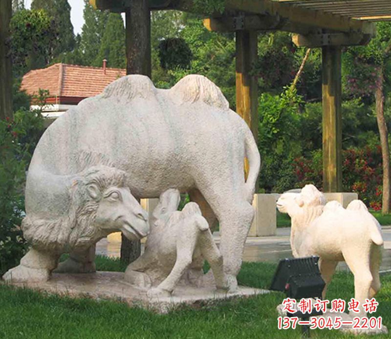 潍坊公园骆驼一家石雕