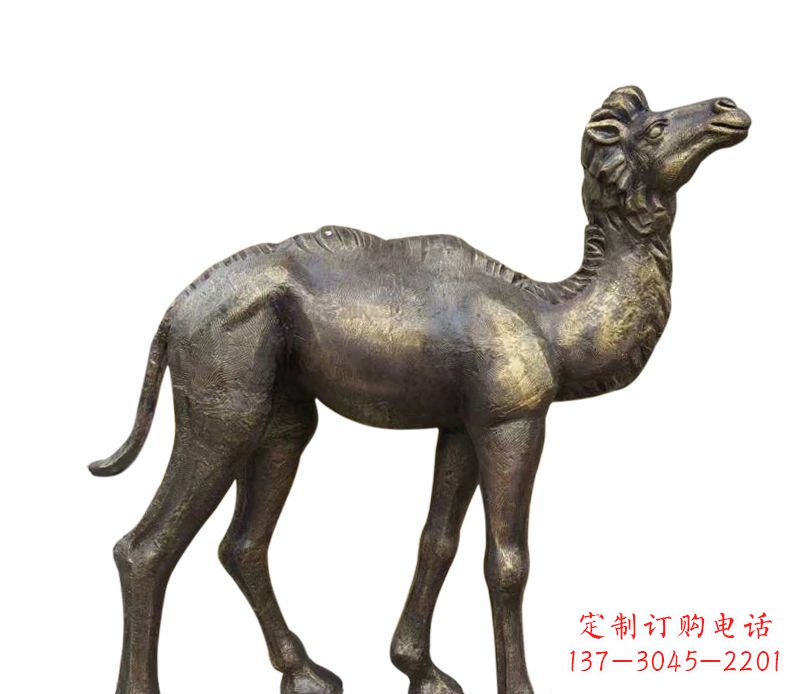 潍坊奇美洁净的骆驼铜雕