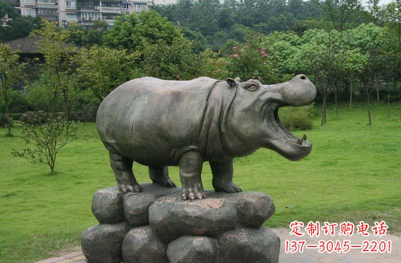 潍坊海洋动物河马铜雕塑