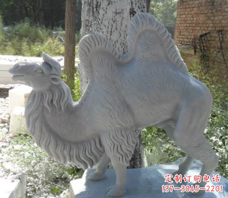 潍坊汉白玉动物骆驼石雕