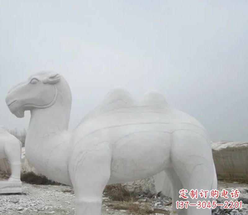 潍坊汉白玉骆驼石雕塑，装点家居空间
