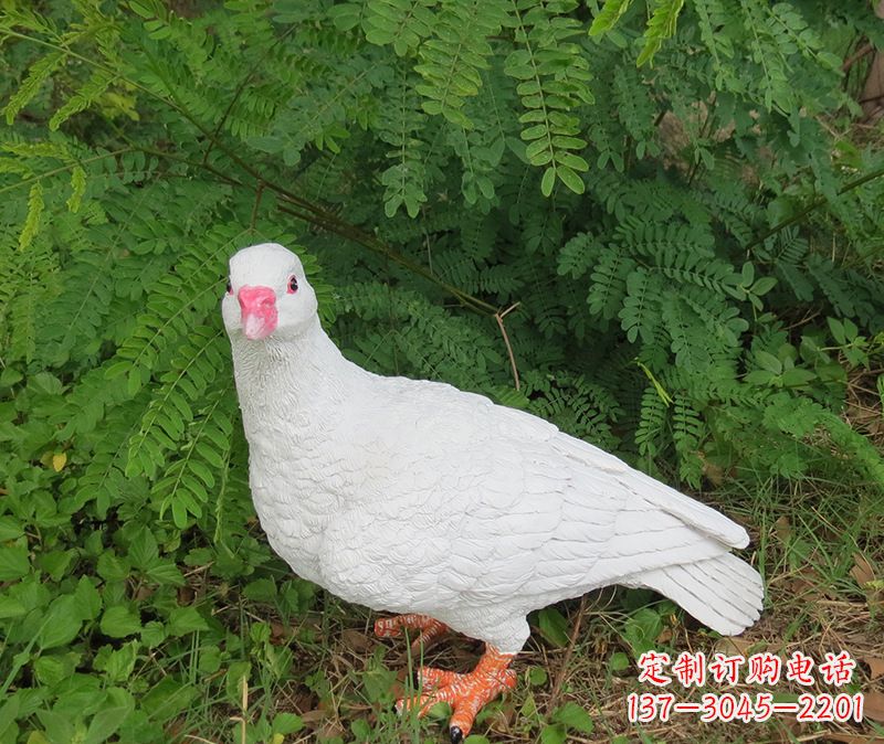 潍坊灵鸽雕塑鸽子呢