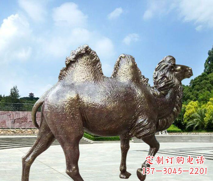 潍坊骆驼动物铜雕 (2)
