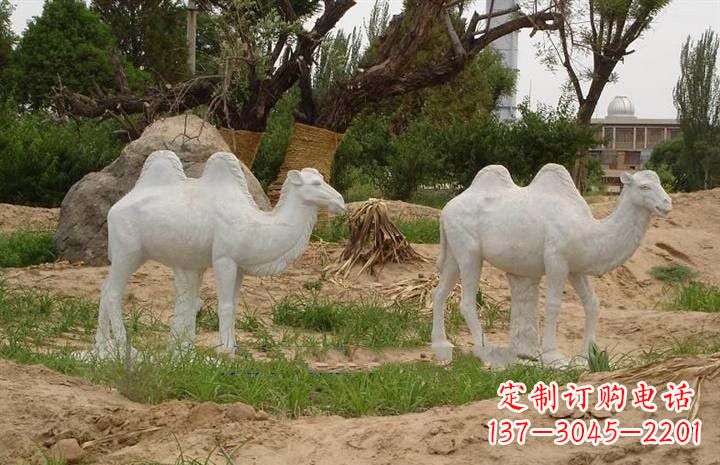 潍坊欣赏大自然,石雕骆驼公园动物雕塑邀请您