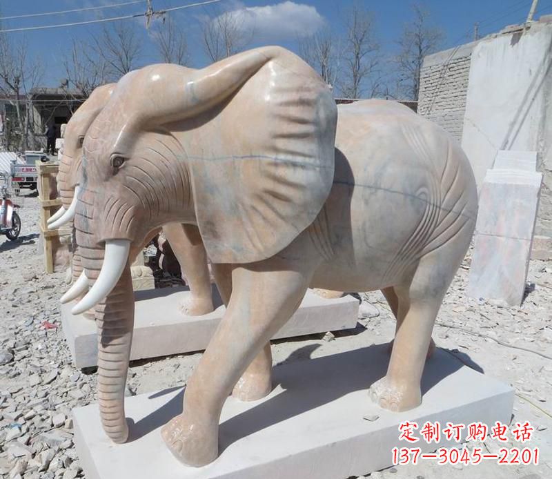 潍坊晚霞红卷鼻大象